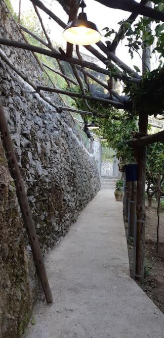 #La Limonaia Della Torretta Villa Minori Exteriör bild