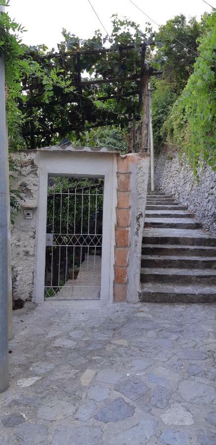 #La Limonaia Della Torretta Villa Minori Exteriör bild