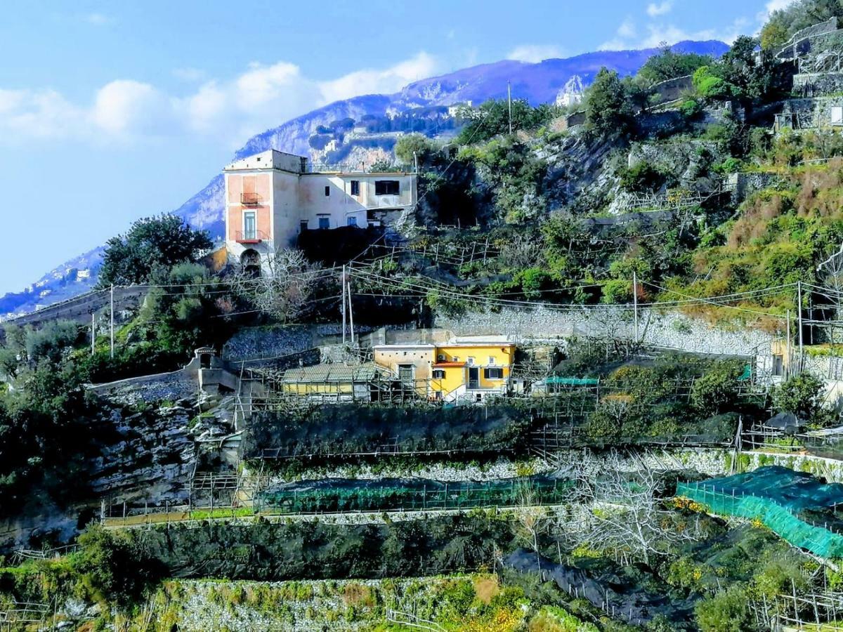#La Limonaia Della Torretta Villa Minori Exteriör bild