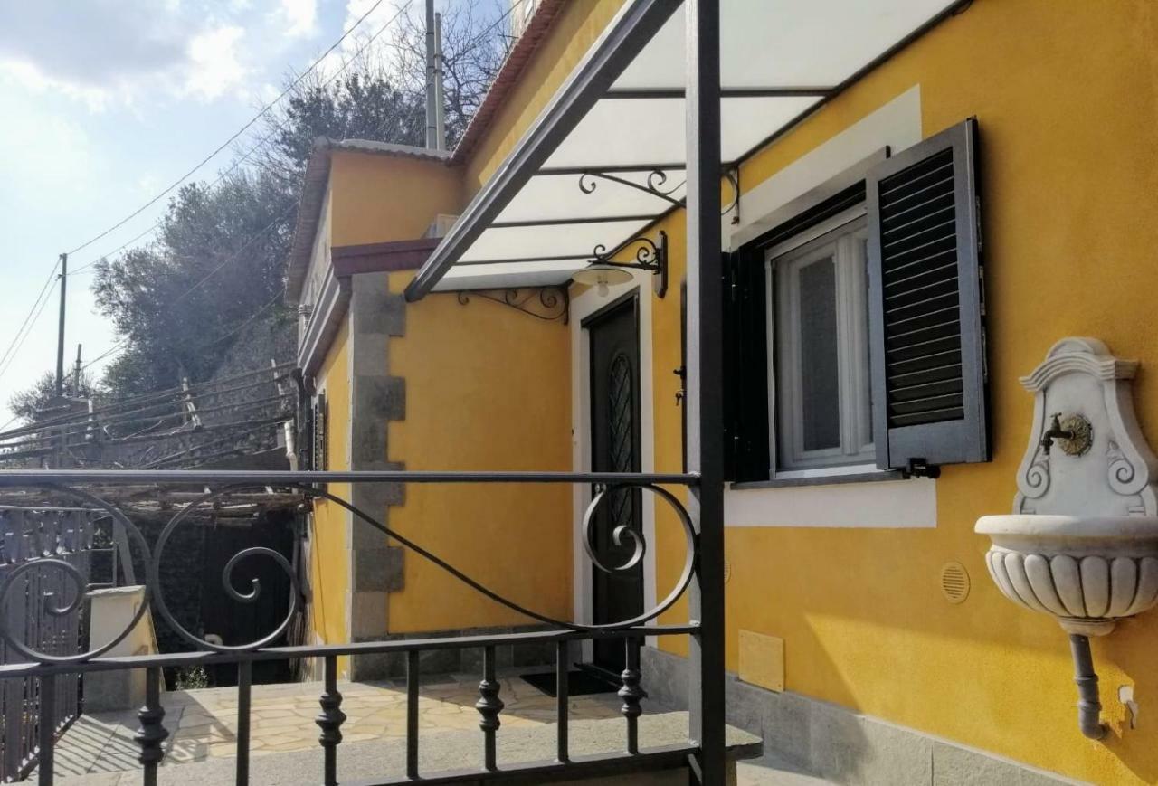 #La Limonaia Della Torretta Villa Minori Exteriör bild