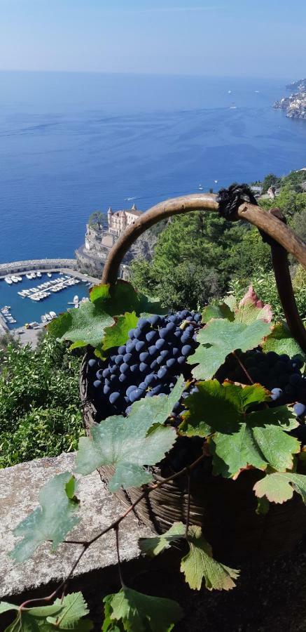 #La Limonaia Della Torretta Villa Minori Exteriör bild